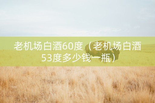 老机场白酒60度（老机场白酒53度多少钱一瓶）