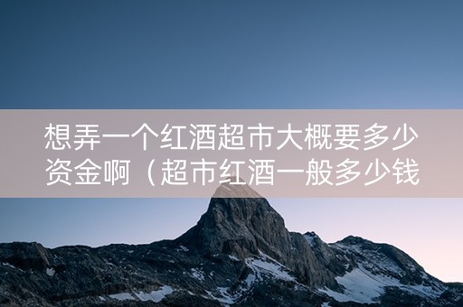 想弄一个红酒超市大概要多少资金啊（超市红酒一般多少钱）