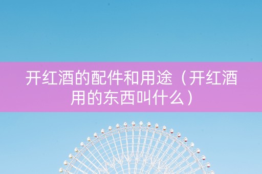 开红酒的配件和用途（开红酒用的东西叫什么）