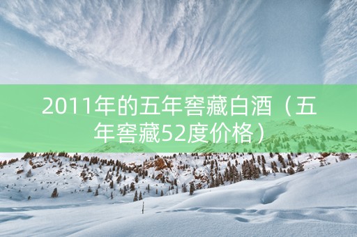 2011年的五年窖藏白酒（五年窖藏52度价格）