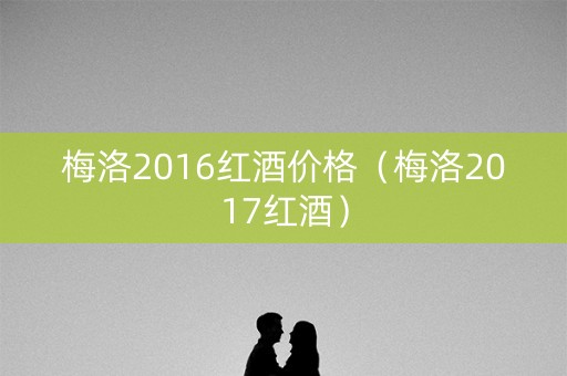 梅洛2016红酒价格（梅洛2017红酒）