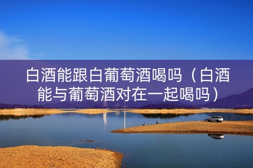 白酒能跟白葡萄酒喝吗（白酒能与葡萄酒对在一起喝吗）