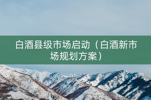 白酒县级市场启动（白酒新市场规划方案）
