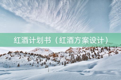 红酒计划书（红酒方案设计）