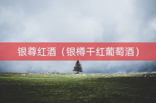 银尊红酒（银樽干红葡萄酒）