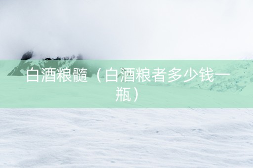 白酒粮髓（白酒粮者多少钱一瓶）