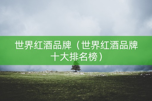 世界红酒品牌（世界红酒品牌十大排名榜）