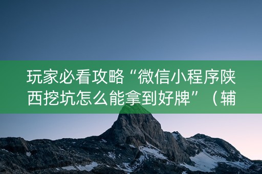 玩家必看攻略“微信小程序陕西挖坑怎么能拿到好牌”（辅牌器插件购买)