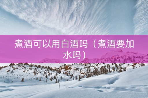 煮酒可以用白酒吗（煮酒要加水吗）