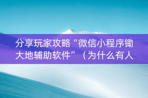 分享玩家攻略“微信小程序锄大地辅助软件”（为什么有人一直赢)