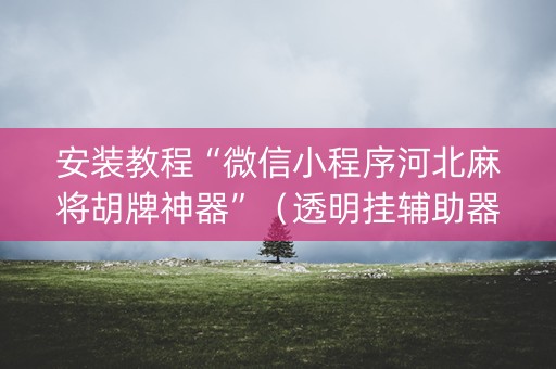 安装教程“微信小程序河北麻将胡牌神器”（透明挂辅助器)