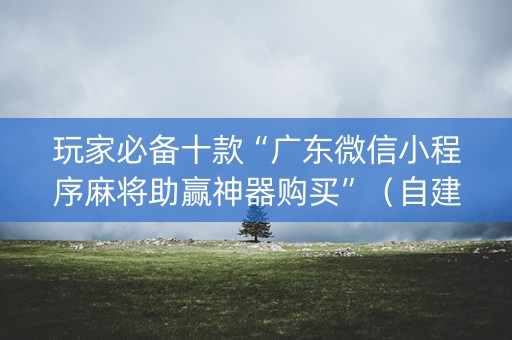 玩家必备十款“广东微信小程序麻将助赢神器购买”（自建房怎么拿好牌)