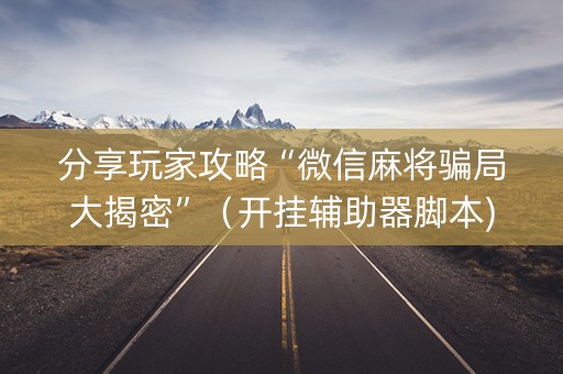 分享玩家攻略“微信麻将骗局大揭密”（开挂辅助器脚本)