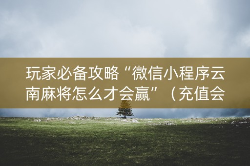 玩家必备攻略“微信小程序云南麻将怎么才会赢”（充值会提高胜率么)
