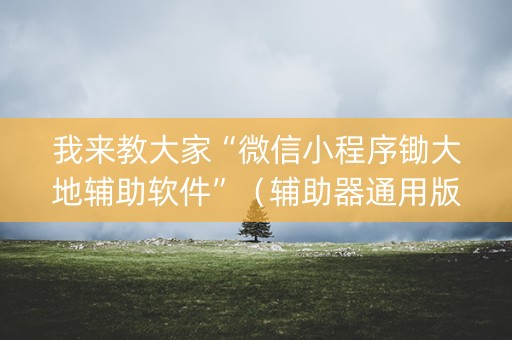 我来教大家“微信小程序锄大地辅助软件”（辅助器通用版)