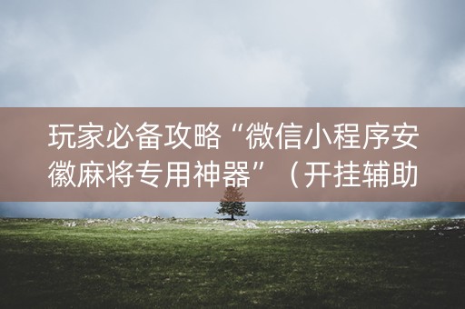 玩家必备攻略“微信小程序安徽麻将专用神器”（开挂辅助器脚本)