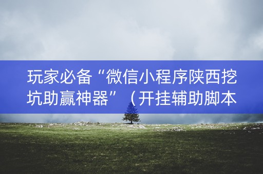 玩家必备“微信小程序陕西挖坑助赢神器”（开挂辅助脚本)