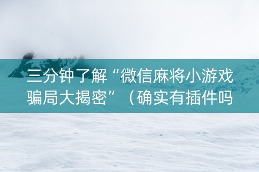 三分钟了解“微信麻将小游戏骗局大揭密”（确实有插件吗)