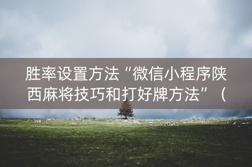 胜率设置方法“微信小程序陕西麻将技巧和打好牌方法”（辅助器插件)