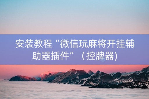 安装教程“微信玩麻将开挂辅助器插件”（控牌器)