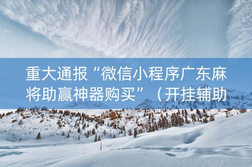 重大通报“微信小程序广东麻将助赢神器购买”（开挂辅助器插件)