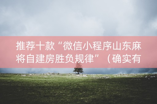 推荐十款“微信小程序山东麻将自建房胜负规律”（确实有插件吗)