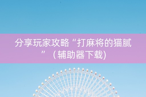分享玩家攻略“打麻将的猫腻”（辅助器下载)
