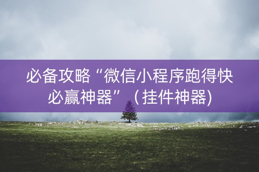 必备攻略“微信小程序跑得快必赢神器”（挂件神器)