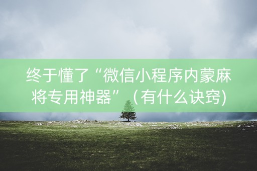 终于懂了“微信小程序内蒙麻将专用神器”（有什么诀窍)
