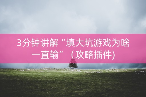 3分钟讲解“填大坑游戏为啥一直输”（攻略插件)
