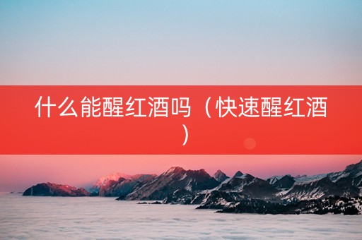 什么能醒红酒吗（快速醒红酒）
