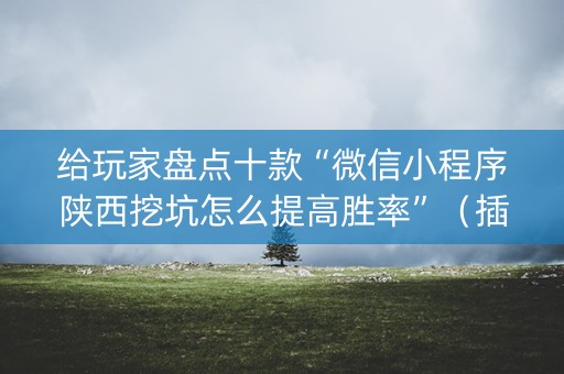 给玩家盘点十款“微信小程序陕西挖坑怎么提高胜率”（插件可信吗)