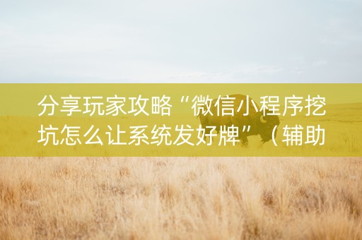 分享玩家攻略“微信小程序挖坑怎么让系统发好牌”（辅助器插件)