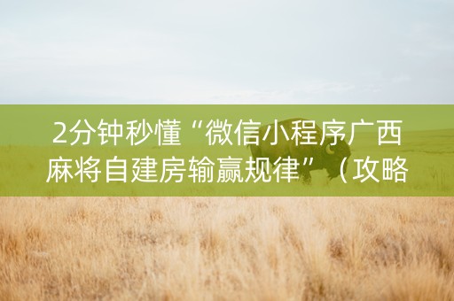 2分钟秒懂“微信小程序广西麻将自建房输赢规律”（攻略插件)