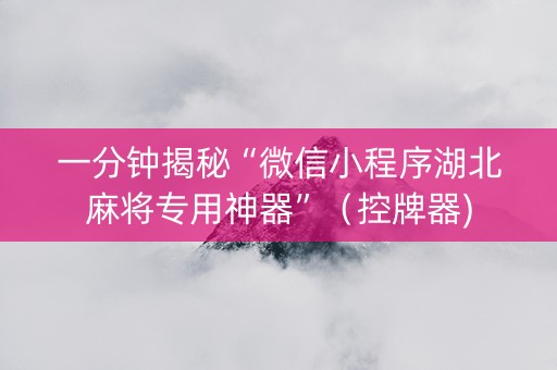 一分钟揭秘“微信小程序湖北麻将专用神器”（控牌器)
