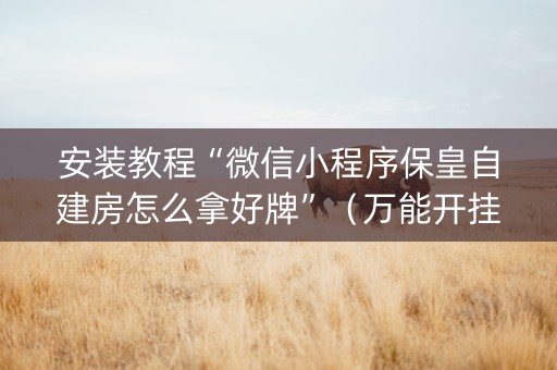 安装教程“微信小程序保皇自建房怎么拿好牌”（万能开挂神器)