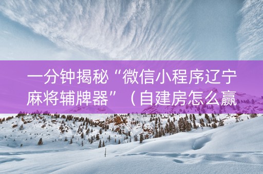 一分钟揭秘“微信小程序辽宁麻将辅牌器”（自建房怎么赢)
