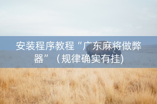 安装程序教程“广东麻将做弊器”（规律确实有挂)
