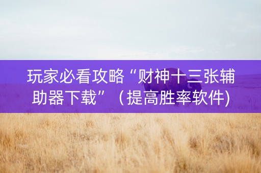 玩家必看攻略“财神十三张辅助器下载”（提高胜率软件)