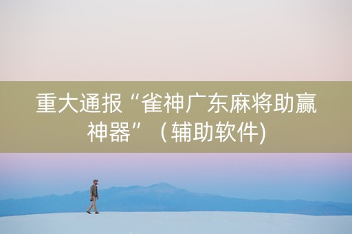 重大通报“雀神广东麻将助赢神器”（辅助软件)