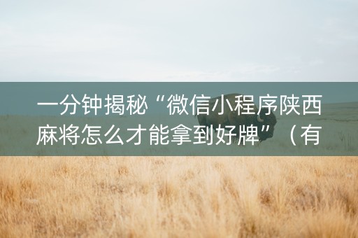 一分钟揭秘“微信小程序陕西麻将怎么才能拿到好牌”（有什么诀窍)