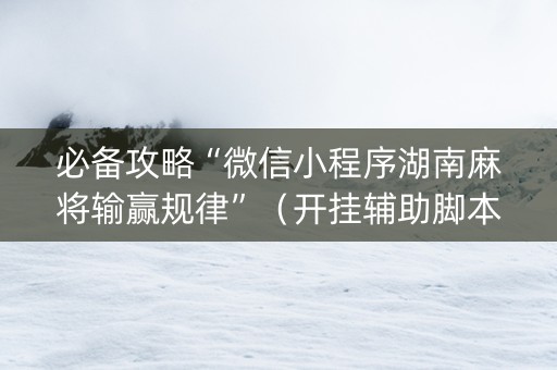 必备攻略“微信小程序湖南麻将输赢规律”（开挂辅助脚本)