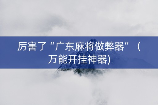厉害了“广东麻将做弊器”（万能开挂神器)