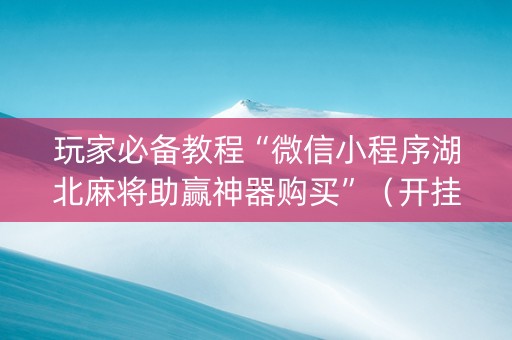 玩家必备教程“微信小程序湖北麻将助赢神器购买”（开挂神器下载)