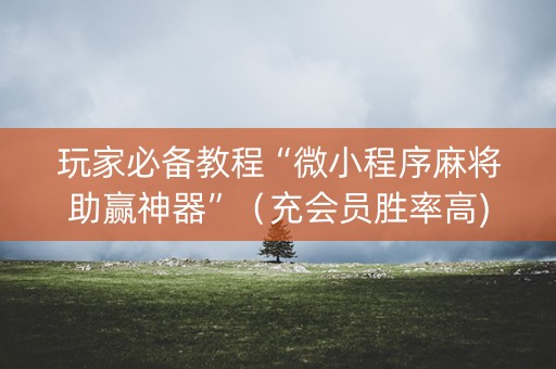 玩家必备教程“微小程序麻将助赢神器”（充会员胜率高)