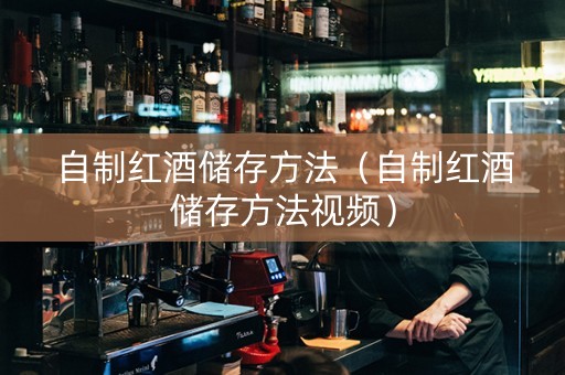 自制红酒储存方法（自制红酒储存方法视频）