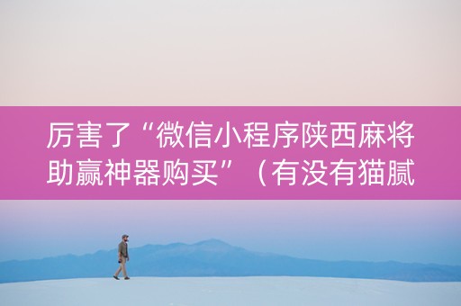 厉害了“微信小程序陕西麻将助赢神器购买”（有没有猫腻)