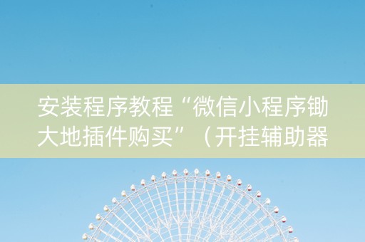 安装程序教程“微信小程序锄大地插件购买”（开挂辅助器插件)