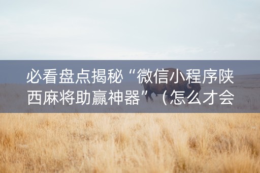 必看盘点揭秘“微信小程序陕西麻将助赢神器”（怎么才会赢)
