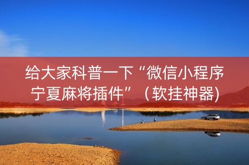 给大家科普一下“微信小程序宁夏麻将插件”（软挂神器)